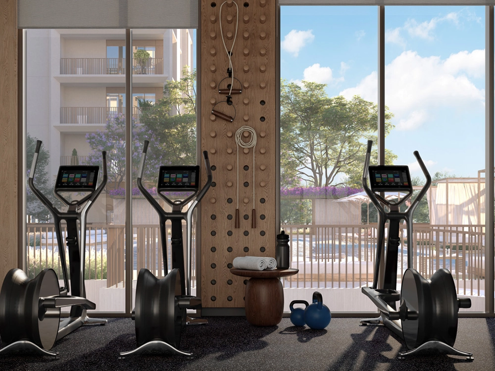 aeon by emaar gym